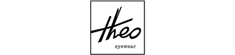 theo designer frames belfast